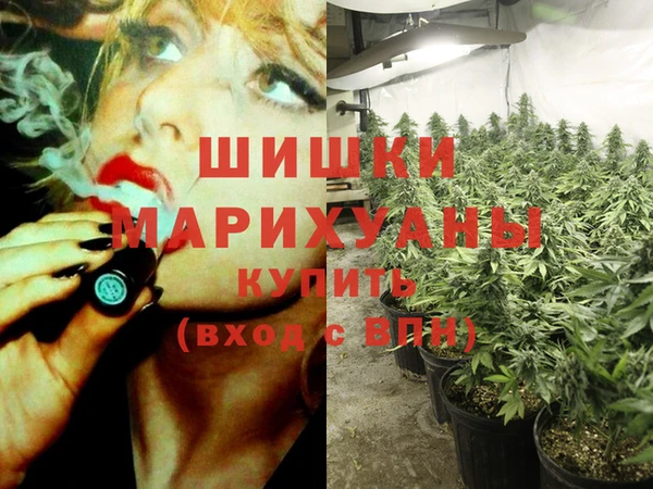 тгк Бородино
