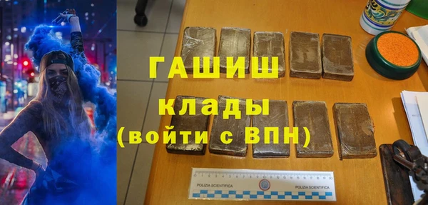 тгк Бородино