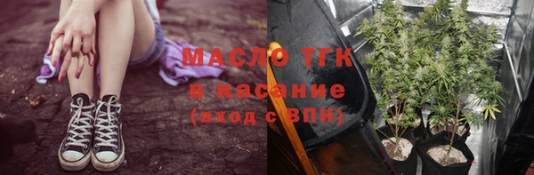 тгк Бородино