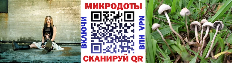 Купить где  Мариинский Посад  Галлюциногенные грибы мухоморы 